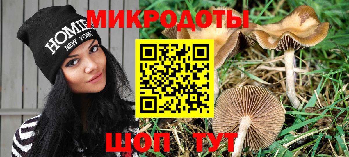 Галлюциногенные грибы прущие грибы  Галлюциногенные грибы мицелий  Ржев  Вход с VPN 